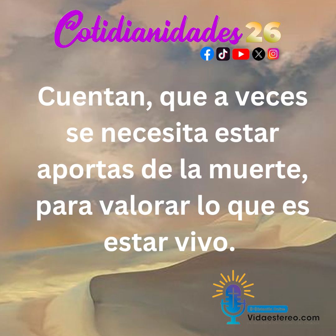 Perlas Cotidianas Milenio Cotidianidades