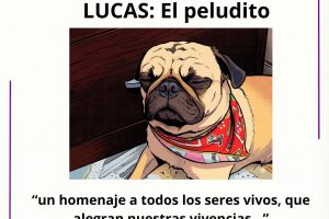 lucas lucas
