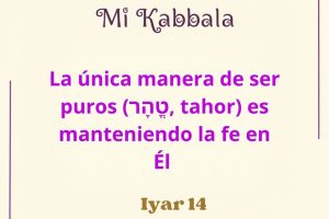 iyaer14