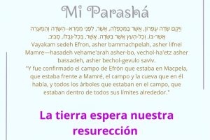 page21.17