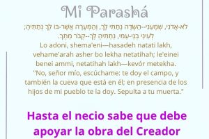 page23.11