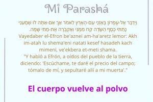 page23.13