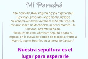 page23.19 page23.19