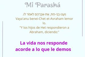 page23.5