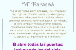 page23.6