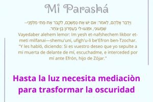 page23.8