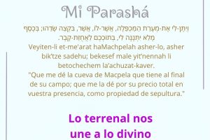 page23.9