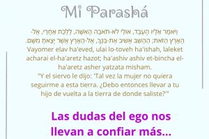page24.5