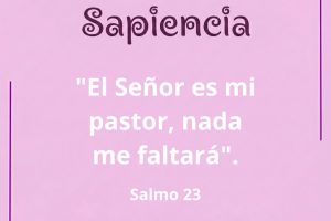 sañmo23