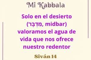 sivan14 sivan14