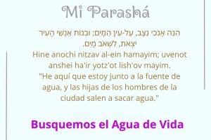 page24.13