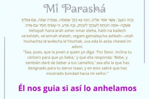 page24.14