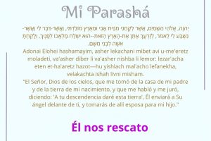 page24.8