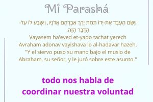 page24.9
