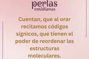 perla1 perla1