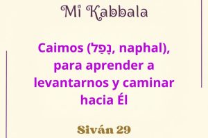 sivan29