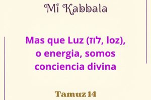 tamuz14