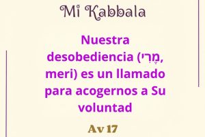 av17 av17