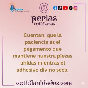 Perlas Cotidianas – Paciencia?