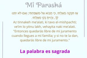 page2441