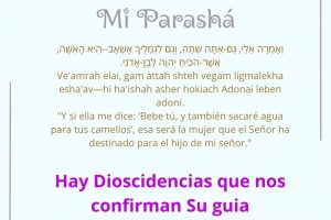 page2444