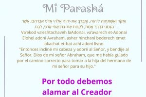 page2448