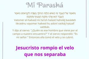 page2465