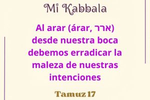 tamuz17 tamuz17