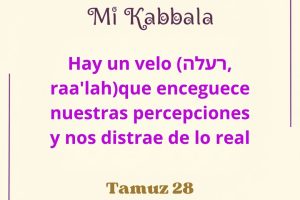 tamuz28