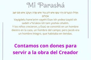 paga2527 paga2527