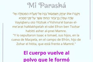 page25.9