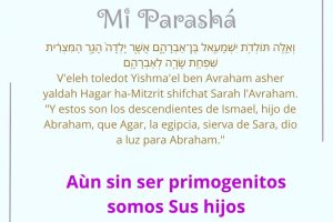 page2512