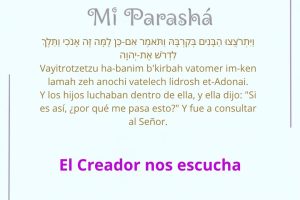 page2522