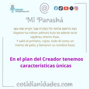 Mi Parashà – Génesis 25:25