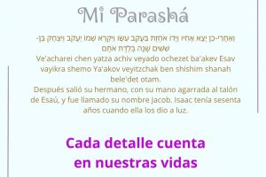 page2526