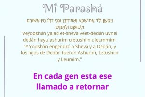 page253