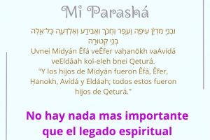 page254