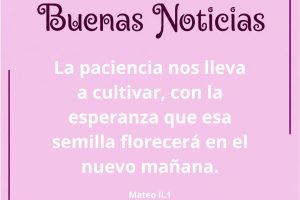 mateo2