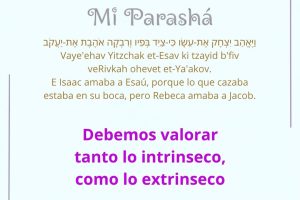 page2528