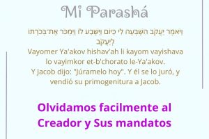 page2533