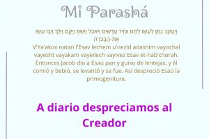 page2534