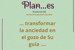 paln18