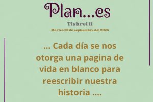 plan 11.1