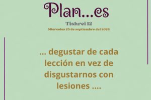 plan 12.1