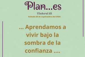 plan 15