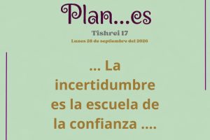 plan 17
