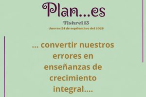 plan113 plan113