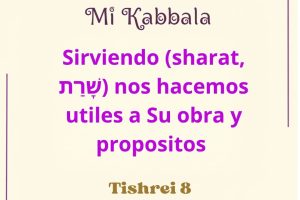tish8