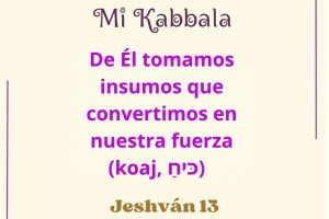 jeh13