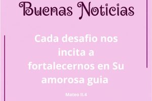 mateo2.4